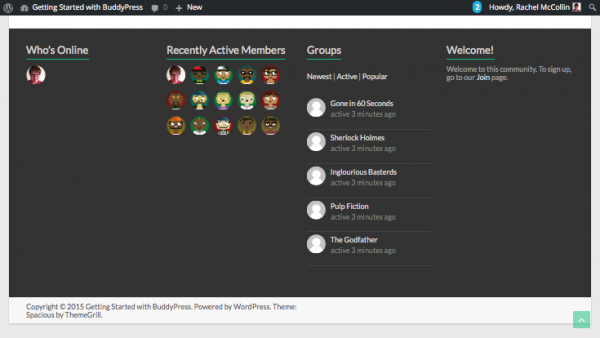 buddypress-fotoer