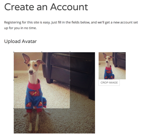 registration-avatar